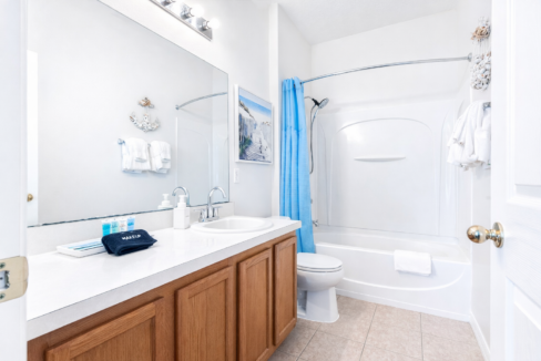 ChatGPT Image Feb 24, 2026, 09_12_01 AM